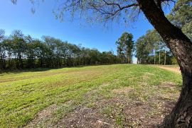 Terreno &agrave; venda Condom&iacute;nio Ninho Verde com 1240m&sup2; e 0 quartos por R$ 90.000 - whatsapp-image-2026-10-01-at-151310-2.jpeg