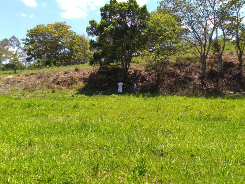 imóvel com 20081m² - Centro - Mogi Guaçu