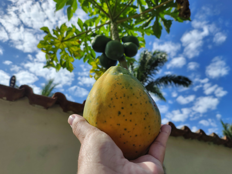 imóvel com 1000m² - Pontinha - Araruama