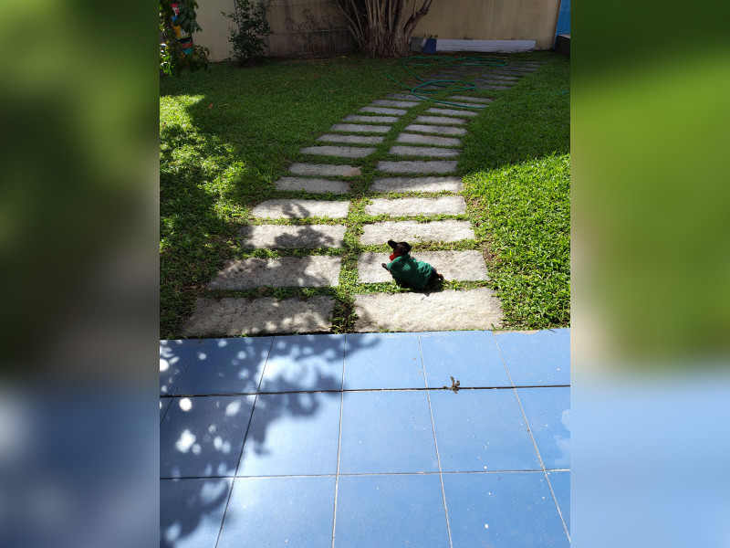 imóvel com 1000m² - Pontinha - Araruama