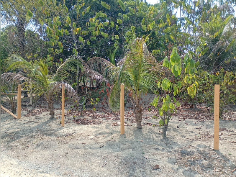 imóvel com 500m² - Área Rural de Manaus - Manaus