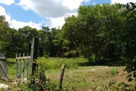 Terreno &agrave; venda Pendotiba com 2000m&sup2; e 0 quartos por R$ 240.000 - 1000114326.jpg