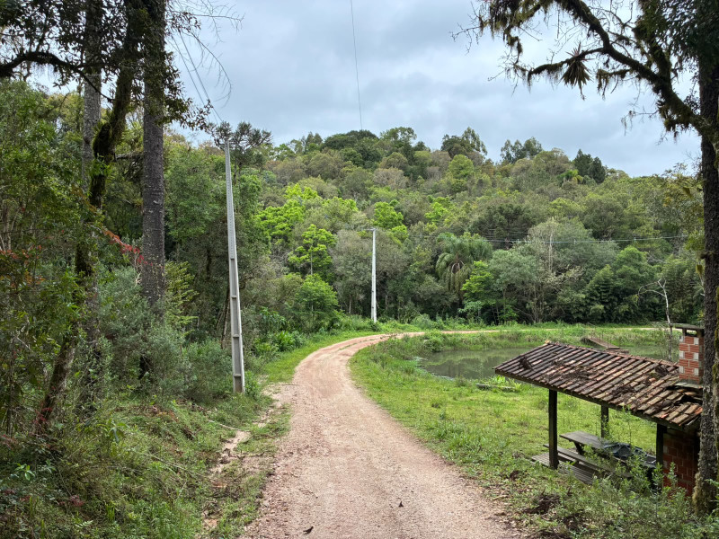 imóvel com 25319m² - Centro - Campo Largo