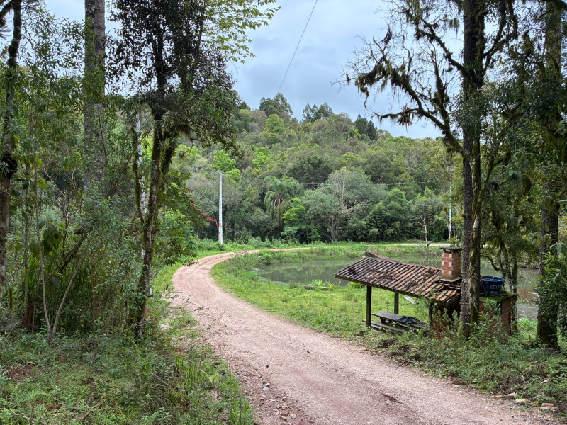 imóvel com 25319m² - Centro - Campo Largo