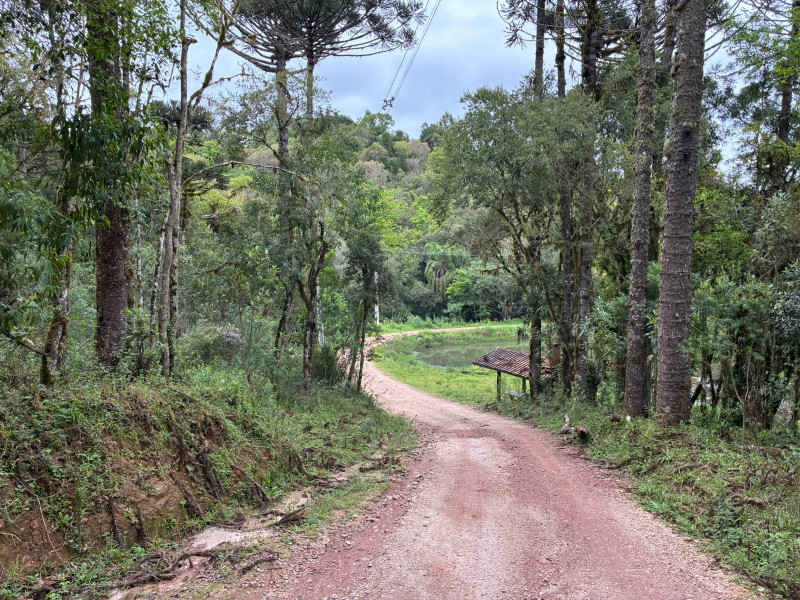 imóvel com 25319m² - Centro - Campo Largo