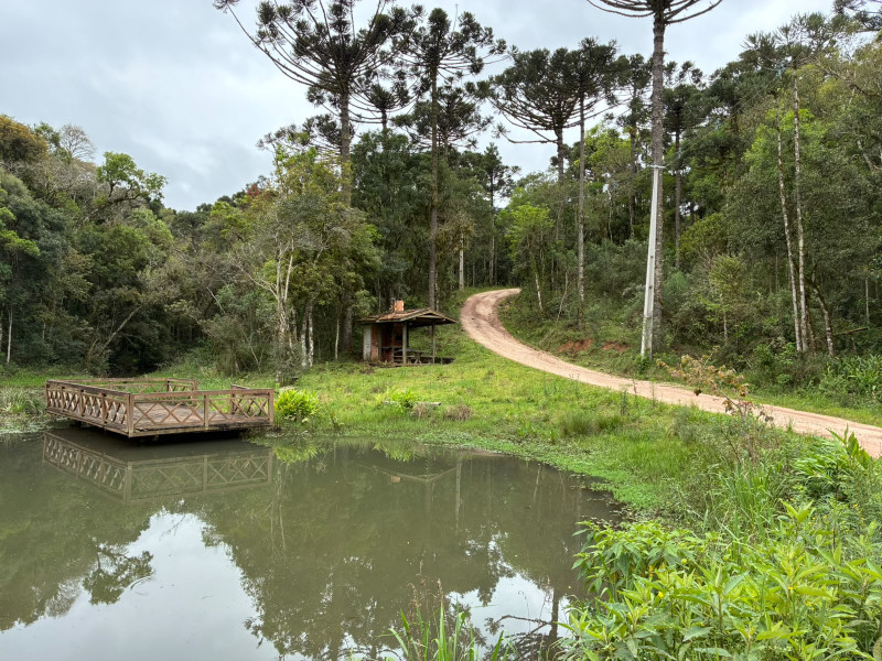 imóvel com 25319m² - Centro - Campo Largo