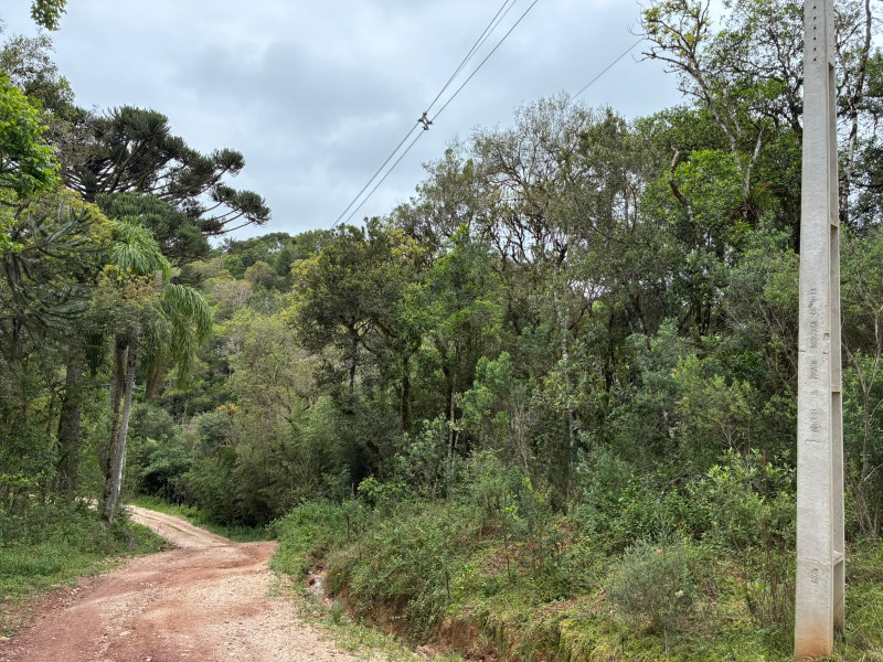 imóvel com 25319m² - Centro - Campo Largo