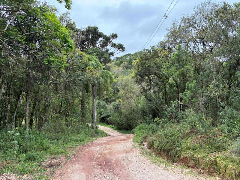 imóvel com 25319m² - Centro - Campo Largo