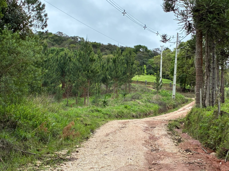 imóvel com 25319m² - Centro - Campo Largo