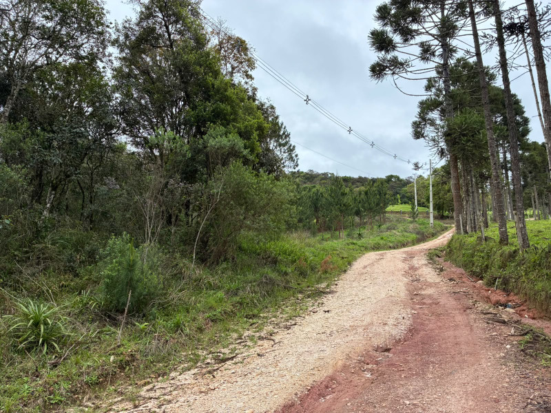 imóvel com 25319m² - Centro - Campo Largo