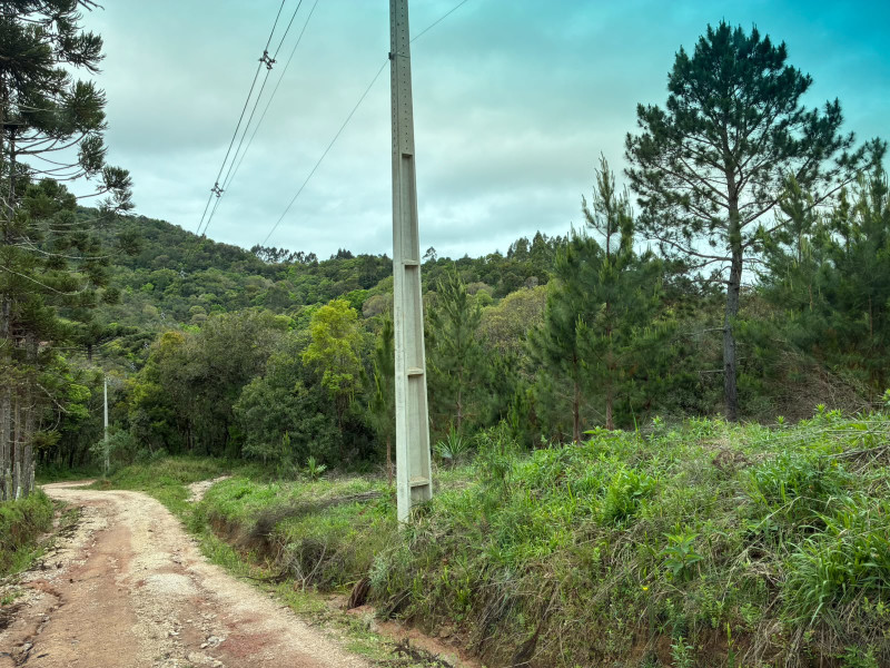 imóvel com 25319m² - Centro - Campo Largo