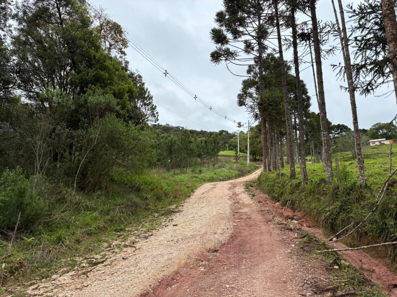 imóvel com 25319m² - Centro - Campo Largo
