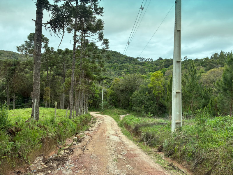 imóvel com 25319m² - Centro - Campo Largo