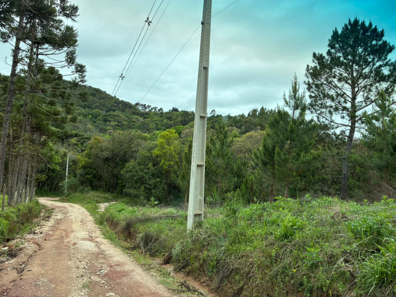 imóvel com 25319m² - Centro - Campo Largo