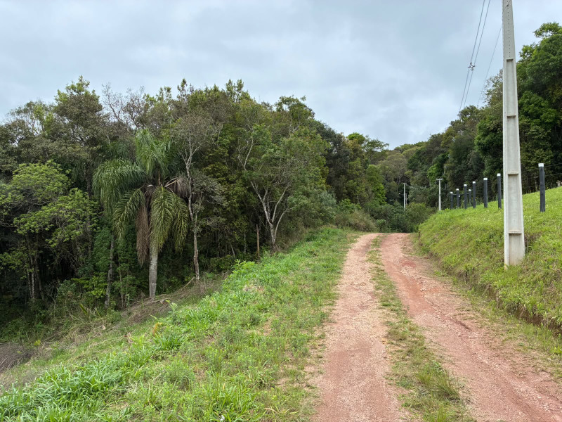 imóvel com 25319m² - Centro - Campo Largo