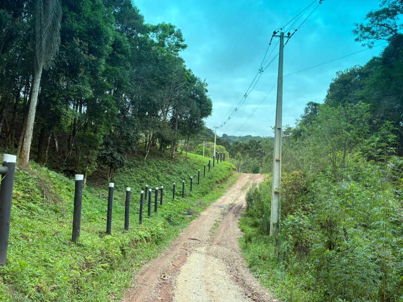 imóvel com 25319m² - Centro - Campo Largo