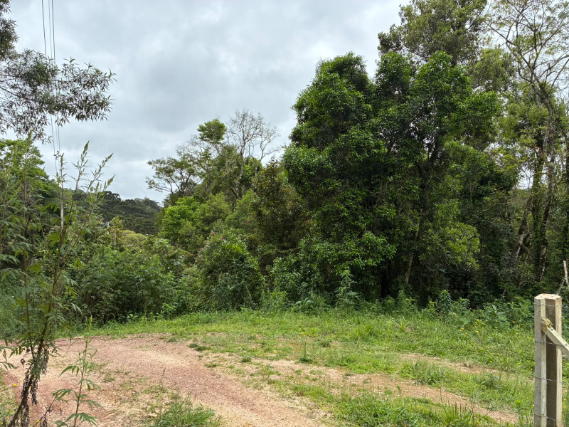 imóvel com 25319m² - Centro - Campo Largo