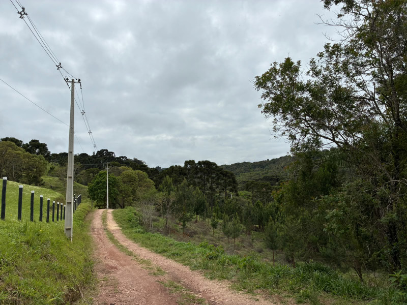 imóvel com 25319m² - Centro - Campo Largo