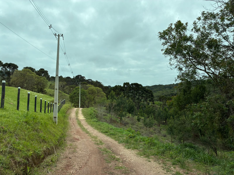 imóvel com 25319m² - Centro - Campo Largo