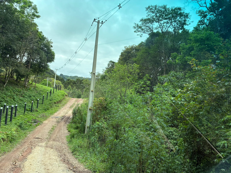 imóvel com 25319m² - Centro - Campo Largo