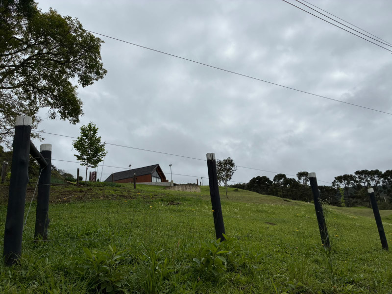 imóvel com 25319m² - Centro - Campo Largo