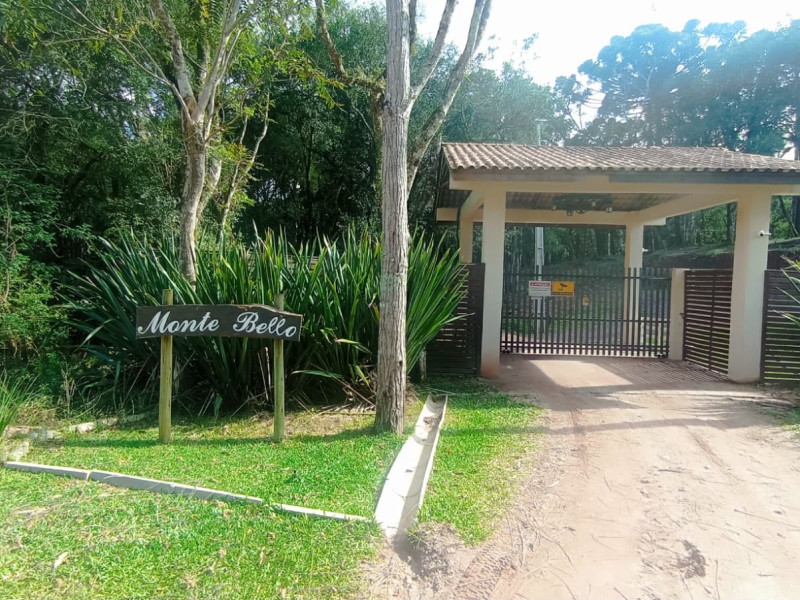imóvel com 25319m² - Centro - Campo Largo