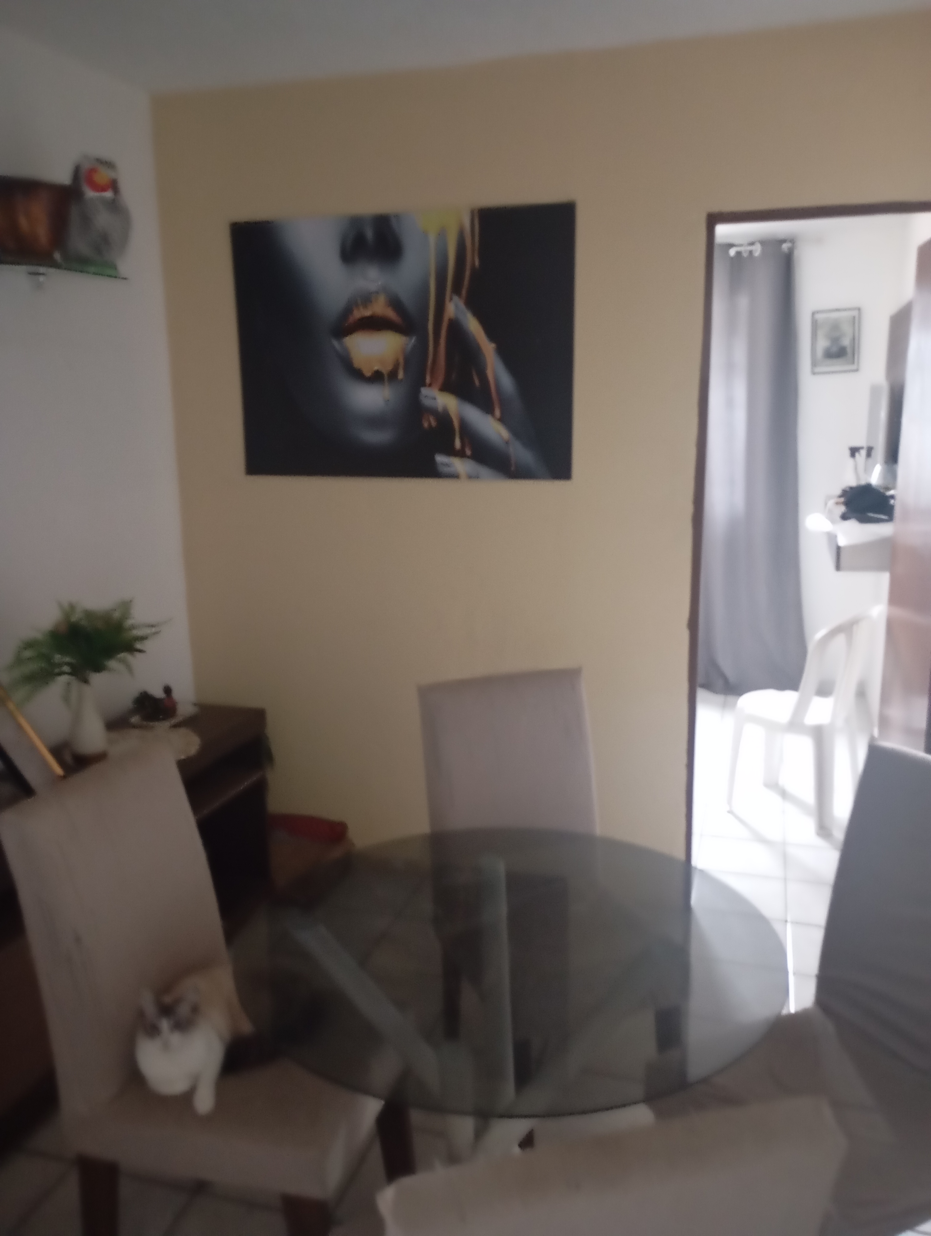 imóvel com 46m² - André Carloni - Serra