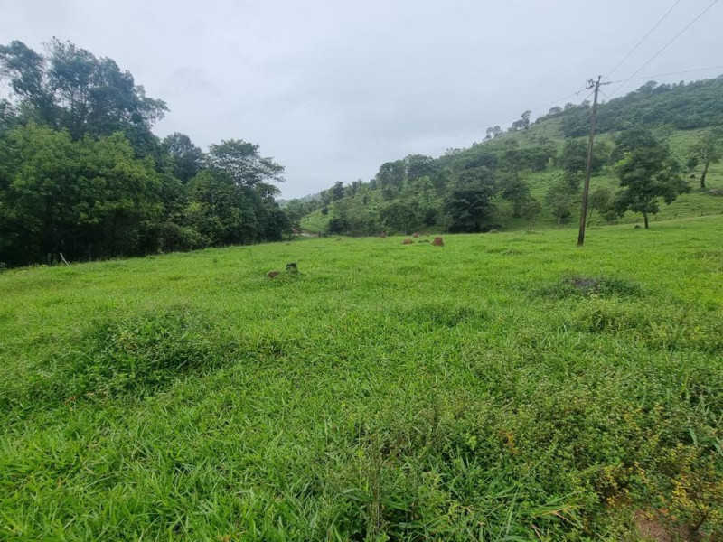 imóvel com 2147483647m² - Centro - Campinacu