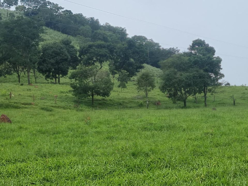 imóvel com 2147483647m² - Centro - Campinacu