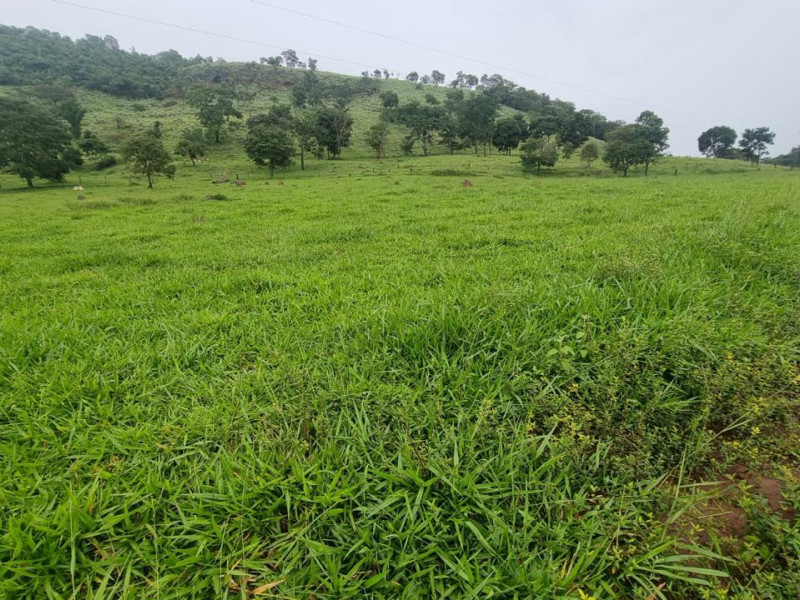 imóvel com 2147483647m² - Centro - Campinacu
