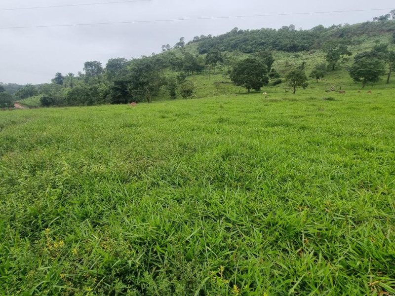 imóvel com 2147483647m² - Centro - Campinacu