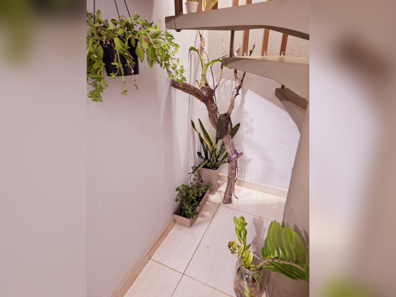 imóvel com 1000m² - Centro - Barra Bonita