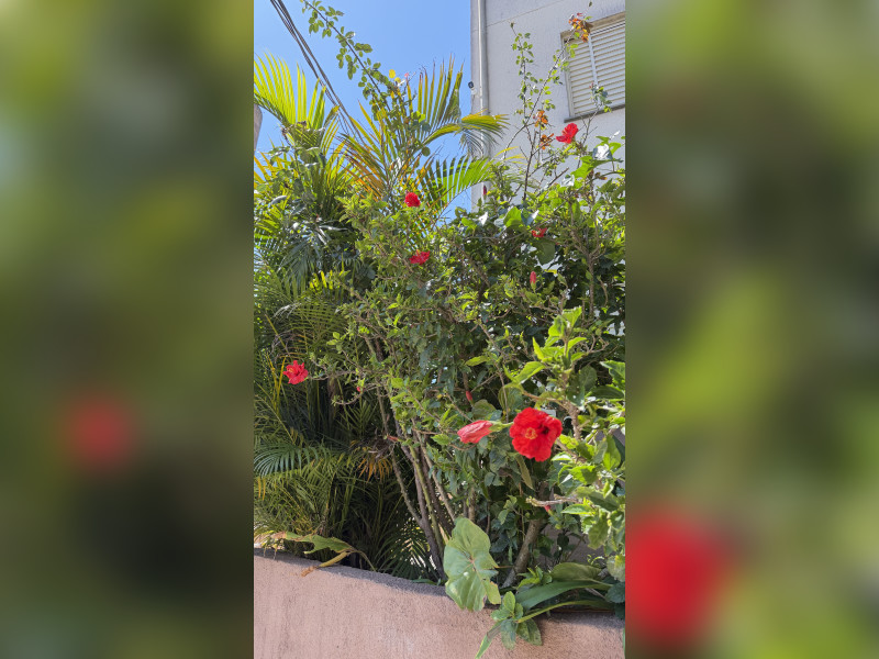 imóvel com 46m² - Jardim Dom José - São Paulo