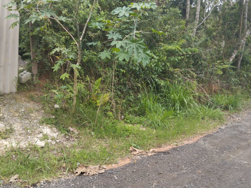 imóvel com 2100m² - Vila Barros - Suzano
