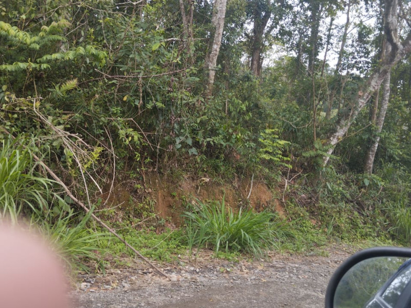 imóvel com 2100m² - Vila Barros - Suzano