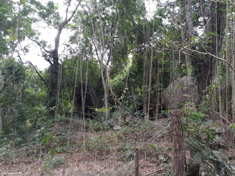imóvel com 48000m² - Centro - Vargem Grande do Sul