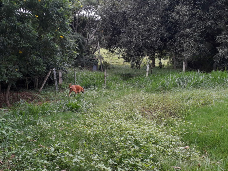 imóvel com 48000m² - Centro - Vargem Grande do Sul
