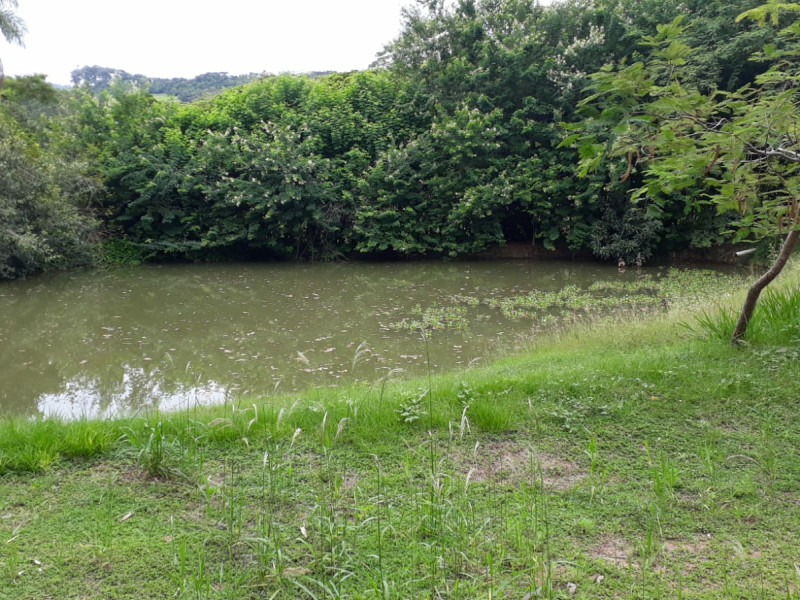 imóvel com 48000m² - Centro - Vargem Grande do Sul