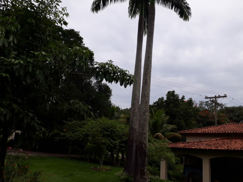 imóvel com 48000m² - Centro - Vargem Grande do Sul