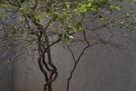img-7563.jpeg