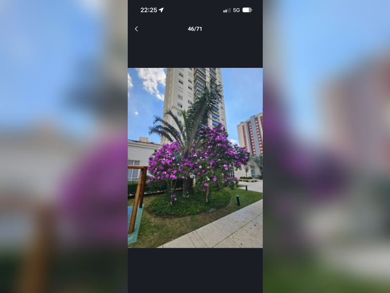 imóvel com 103m² - Vila Anglo Brasileira - São Paulo