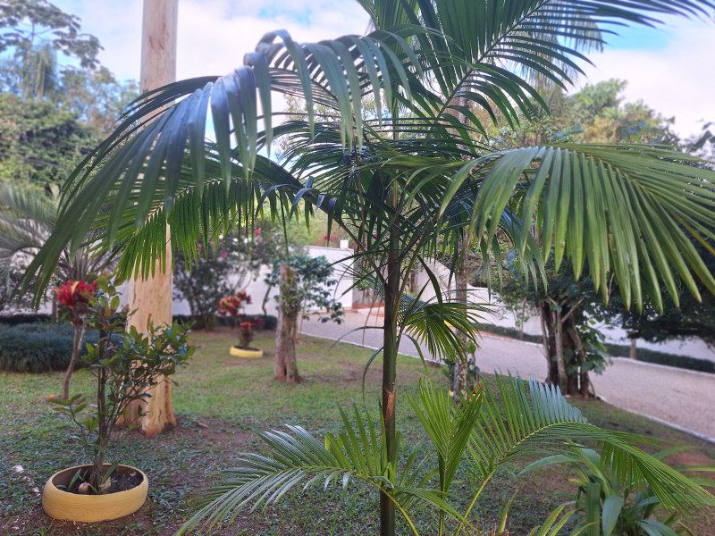 imóvel com 220m² - Encruzilhada - Biguacu