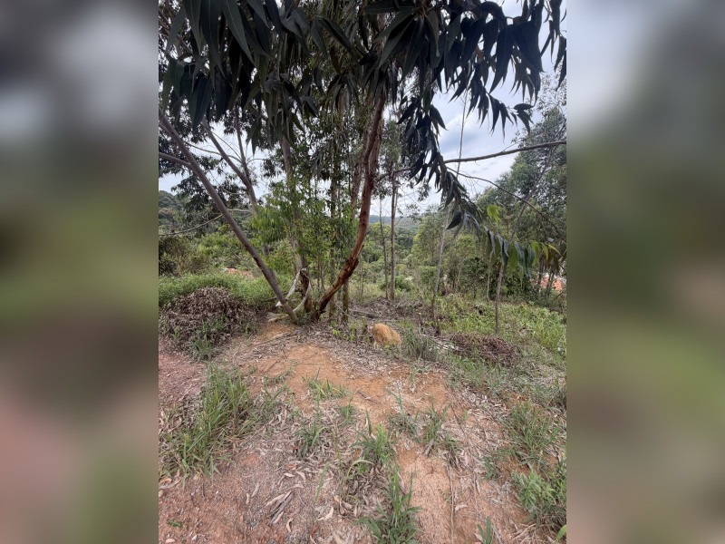 imóvel com 1000m² - Centro - Alumínio