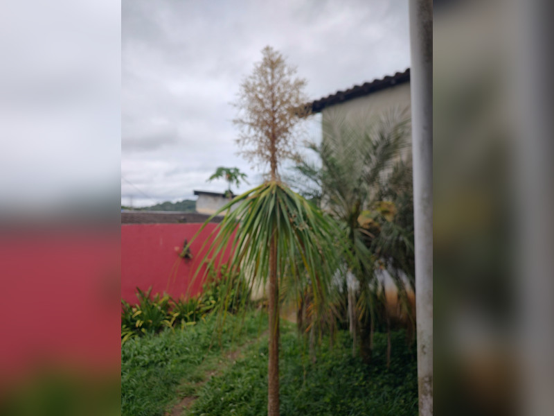 imóvel com 500m² - Vila Geni - Itapecerica da Serra