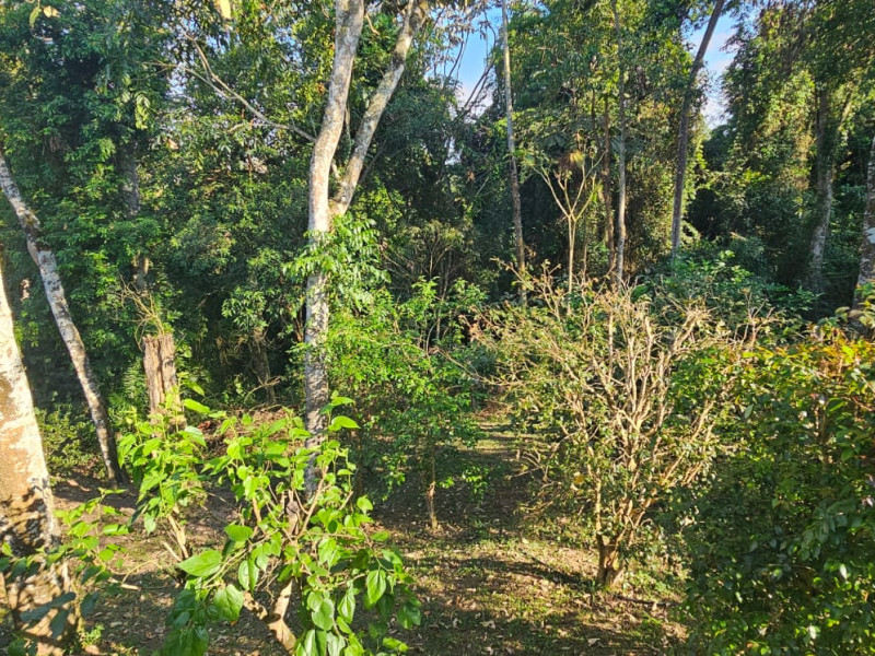 imóvel com 910m² - Aruã - Mogi das Cruzes