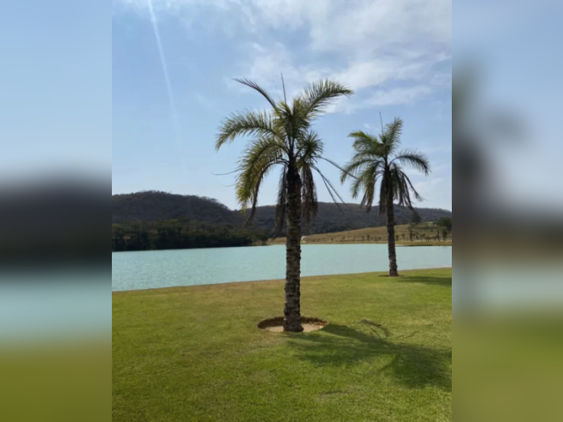 imóvel com 1035m² - Boa Vista - Sete Lagoas