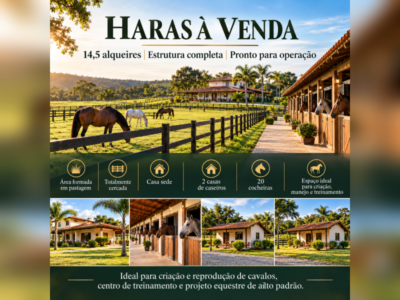 imóvel com 348m² - Centro - Campo Largo