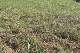 Terreno &agrave; venda Guaxinduva com 420m&sup2; e 0 quartos por R$ 310.000 - terreno4.jpg