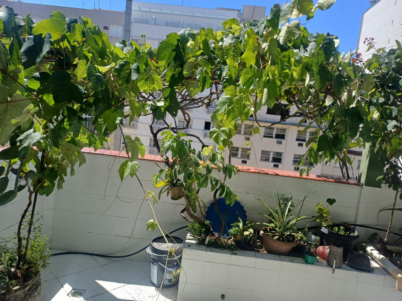 imóvel com 220m² - Copacabana - Rio de Janeiro