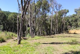 Terreno &agrave; venda Centro (Areia Branca dos Assis) com 4660m&sup2; e 1 quarto por R$ 140.000 - img-20250901-wa0046.jpg